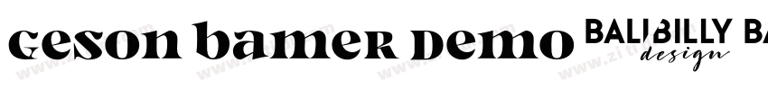 Geson Bamer Demo字体转换